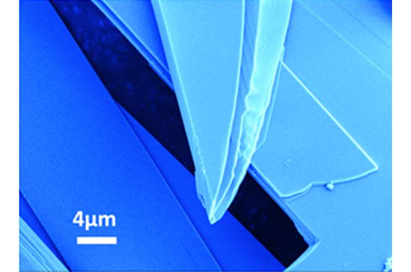 Molybdenene: Exploring the Properties of Graphene s Metallic Cousin