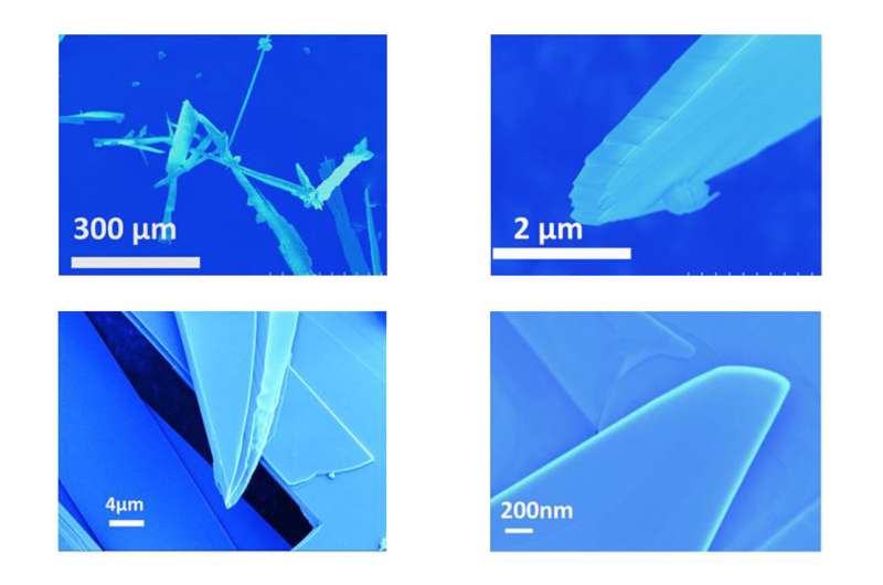 Molybdenene: Exploring the Properties of Graphene s Metallic Cousin