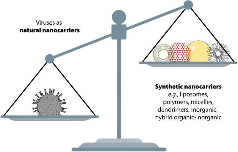 Nanotechnology: Harnessing Viruses and Nanoparticles for Viral Infection Control