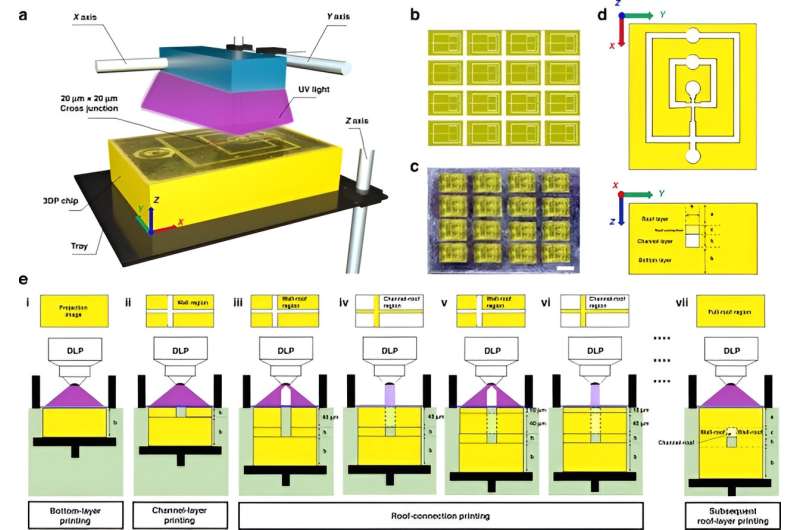 DZC-VPP: Advanced Digital Light Processing for Microfluidic Chip Fabrication