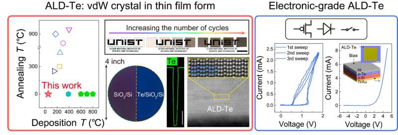 Scalable Electronic-Grade Van der Waals Tellurium Films via Atomic Layer Deposition