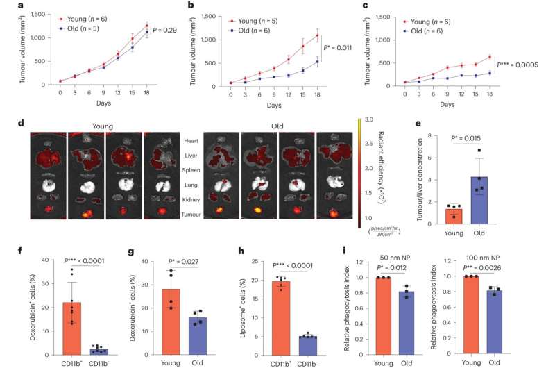 Age-Related Impact on Nanomedicine Efficacy: A Research Overview