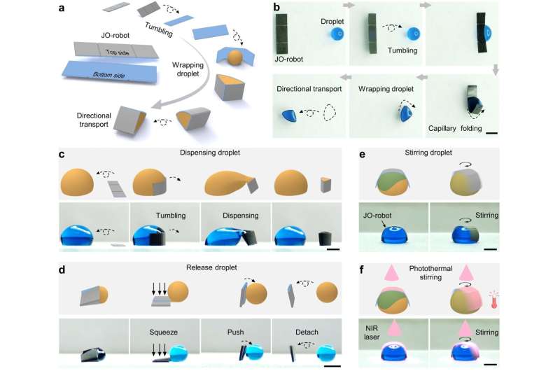 Magnetic Janus Origami Robots Fabricated with Femtosecond Lasers