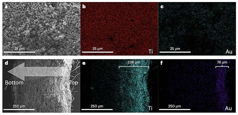 Novel Gold Nanocluster-Enhanced Titanium Dioxide Photocatalyst for Methane Oxidation