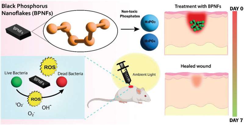 Nanotechnology Breakthrough: Combatting Antibiotic Resistance with Ultra-Thin Materials