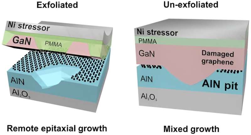 Impact of Surface Pits on GaN Remote Epitaxy: A Critical Analysis