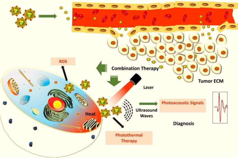 Gold-Copper Nanoparticles: A Novel Approach to Targeted Cancer Therapy