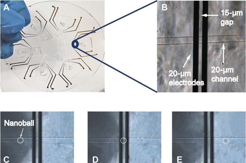 Novel Microfluidic Chip for Rapid and Simple Pathogen Detection