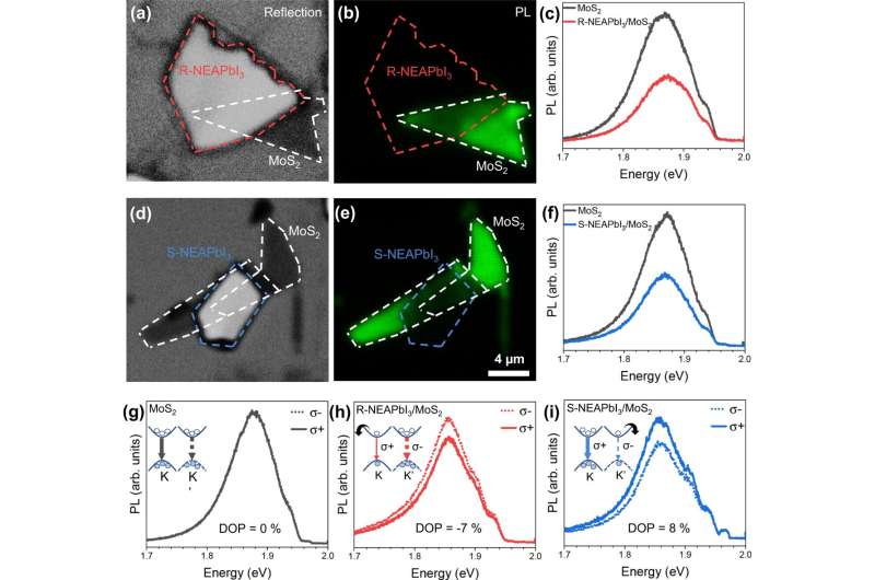 Room-Temperature Valley Polarization for Advanced Information Processing - MoS2 & Perovskite Research