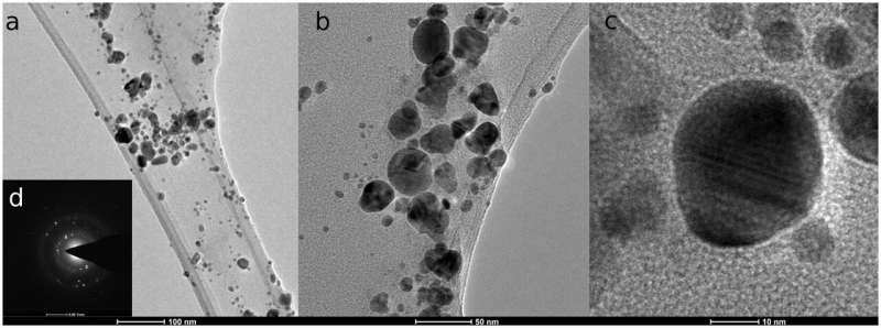 Microbial Synthesis of Nanoparticles: Fungi as a Green Alternative