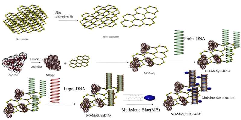 New DNA Biosensor Offers Early Cervical Cancer Detection