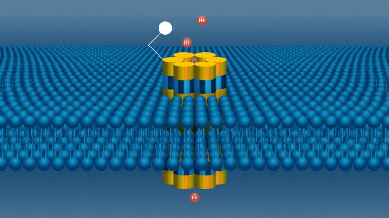 Nanopore Biosensor: Novel Device for Early Disease Detection