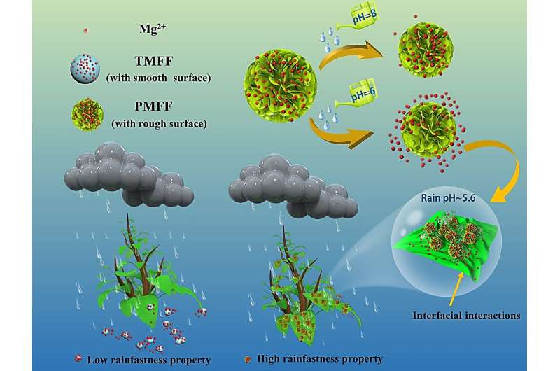 Enhanced Crop Nutrient Delivery with Nanomaterial Surface Engineering