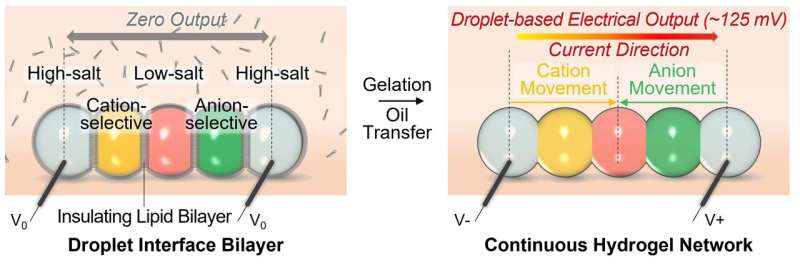 Bio-Integrated Devices: Novel Droplet Battery Technology