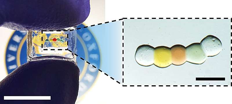 Bio-Integrated Devices: Novel Droplet Battery Technology