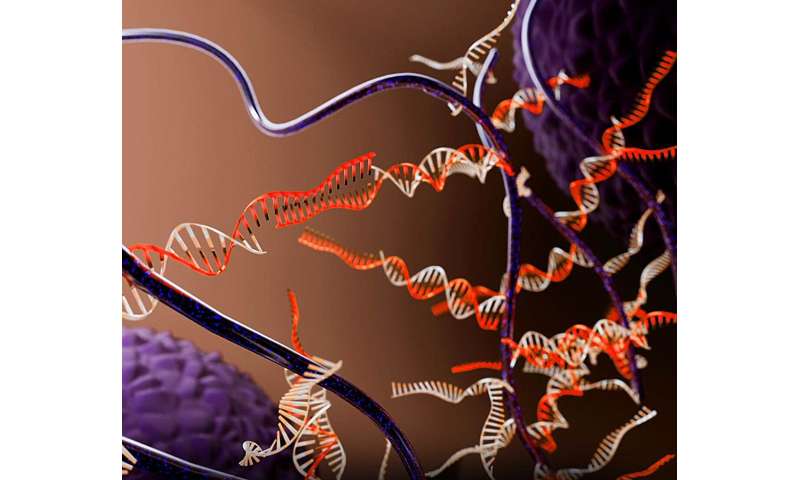 DNA-Encoded Viscoelastic Matrices for Organoid & Tissue Engineering