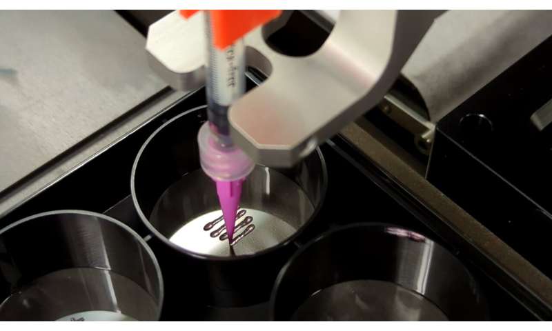 DNA-Encoded Viscoelastic Matrices for Organoid & Tissue Engineering