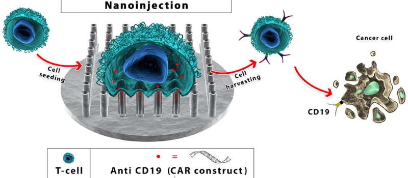 Nanoneedle Technology: Revolutionizing Cancer Treatment with Targeted Genetic Delivery