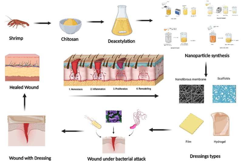 Chitosan Nanocomposites: Innovative Wound Dressings for Enhanced Healing