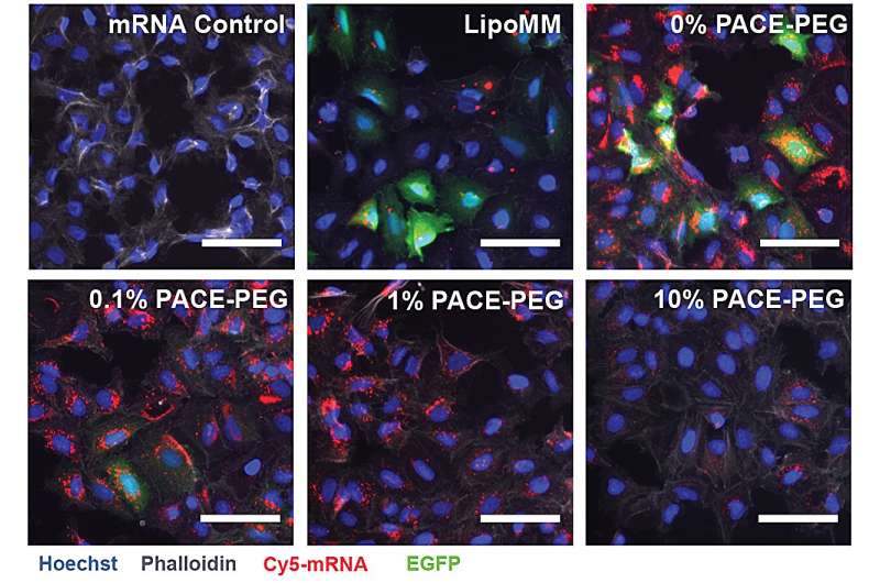 mRNA Nanoparticles for Lung Therapeutics: A New Approach to Respiratory Disease