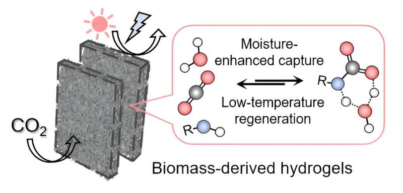 Sustainable Carbon Capture: New Gel Film Reduces Energy Costs