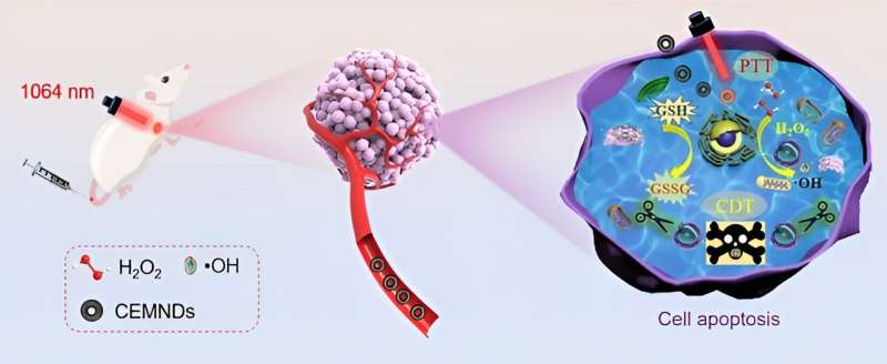 Carbon-Encapsulated Magnetite Nanodonuts for Enhanced Cancer Therapy