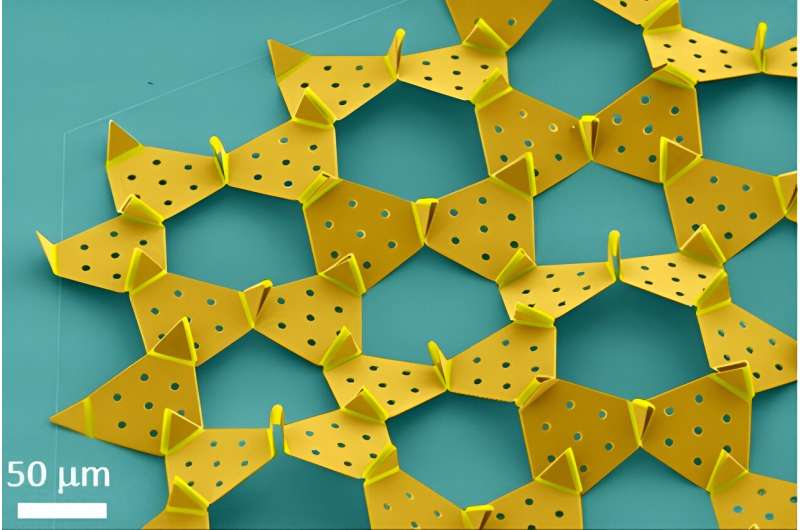 Hummingbird Beak Inspiration: Designing Advanced Microscale Machines