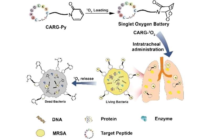 Singlet Oxygen Battery: A Novel Approach to Combat Multidrug-Resistant Infections