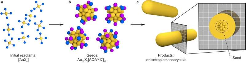 Gold Nanoparticle Seeds: New Insights into Buckyball Formation