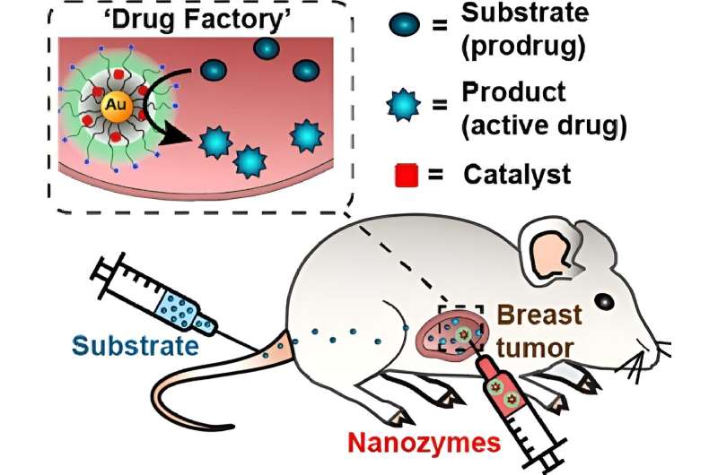 Targeted Drug Delivery for Cancer: Nanozymes for Enhanced Therapy