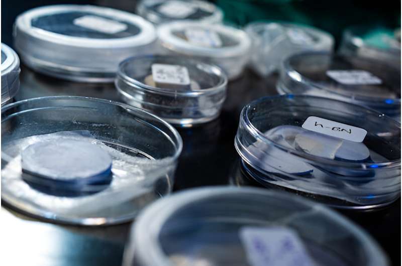 Novel Boron Nitride Nanocomposites: Unexpected Properties Discovered