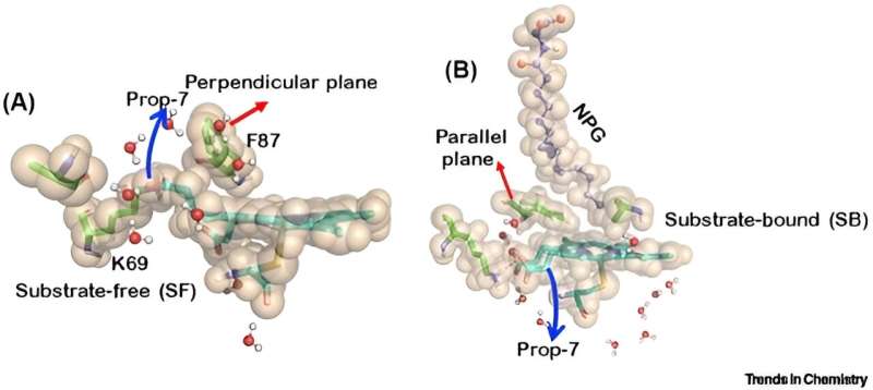 Nanomachines in Living Organisms: Cytochrome P450s as Soft Robots