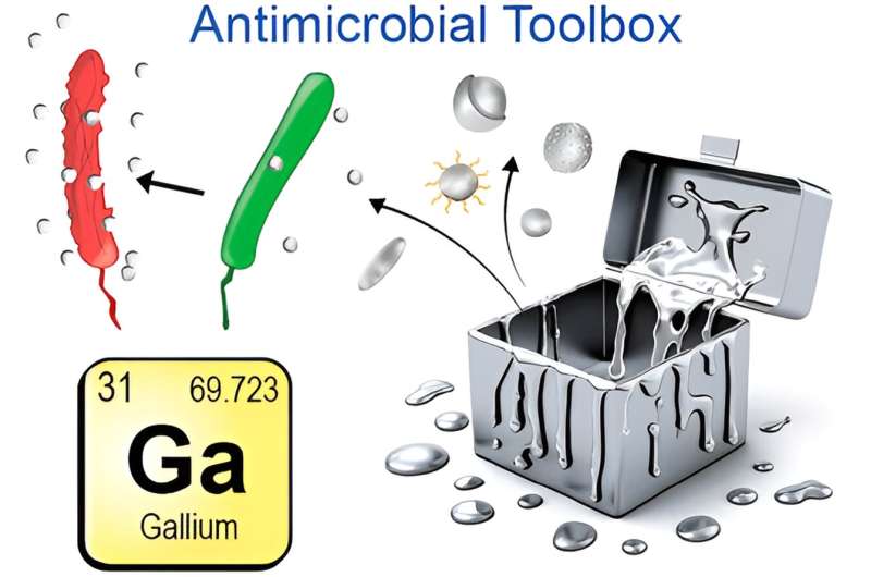 Liquid Metal Coatings: A New Frontier in Combating Antimicrobial Resistance