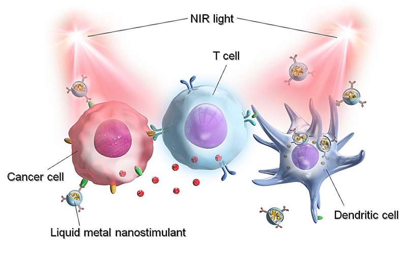 Novel Liquid Metal Nanoparticles for Enhanced Cancer Photoimmunotherapy