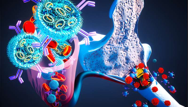 Targeted RNA Therapy Shows Promise in Treating Bone Marrow Cancer