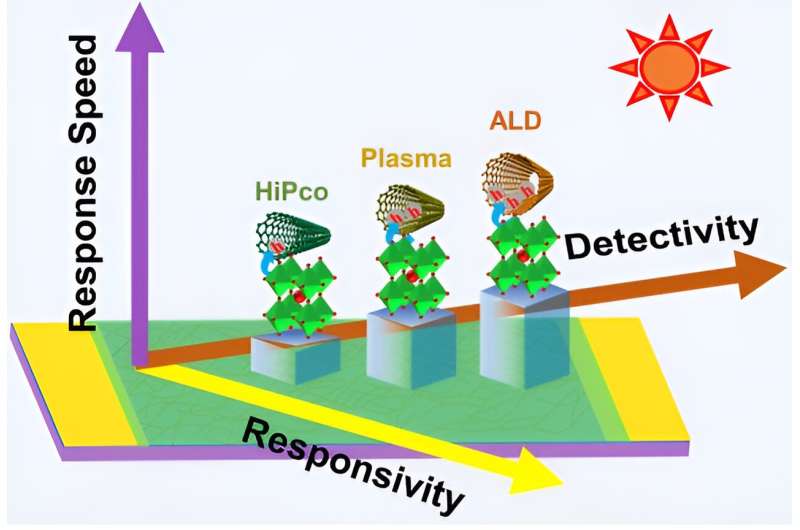 Carbon Nanotube Diameter Impacts Photodetector Performance: A Study