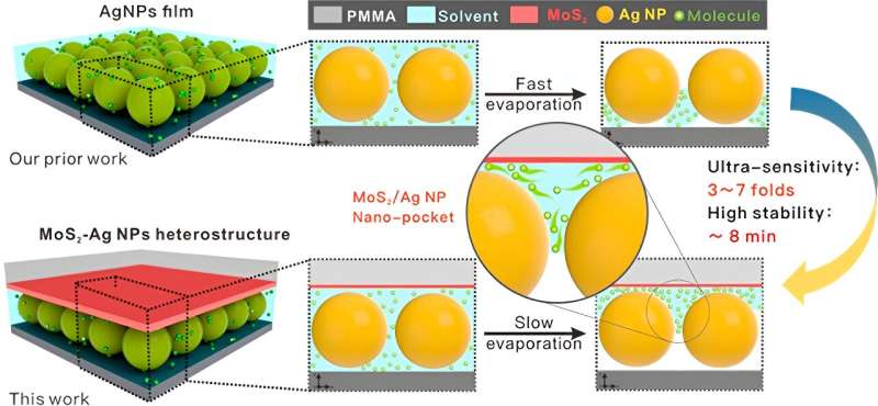 Novel Nano-Pockets Enhance Surface-Enhanced Raman Spectroscopy Detection