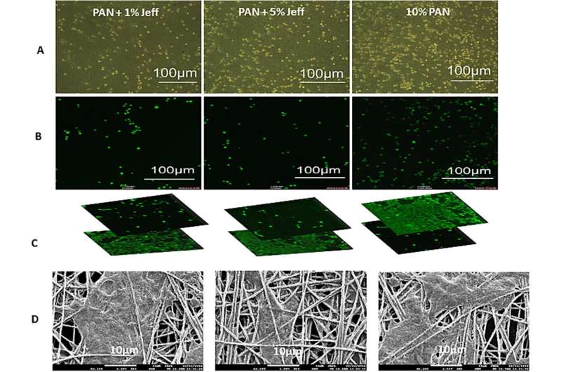 Nanofiber Scaffolds for Retinal Cell Therapy: A Potential Solution for Blindness
