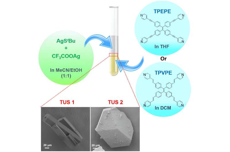Silver Nanoclusters for Environmental Monitoring: Advanced Materials & Applications