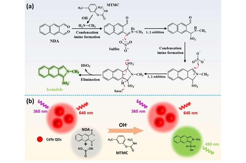 Novel Nanoprobe for Visual Pesticide Detection: A Breakthrough in Environmental Monitoring