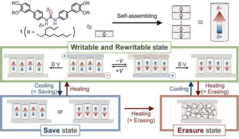 High-Density Data Storage with Nano-Switchable Polar Columns