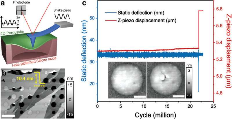 Durability of 2D Hybrid Materials: AFM Fatigue Testing Reveals Insights