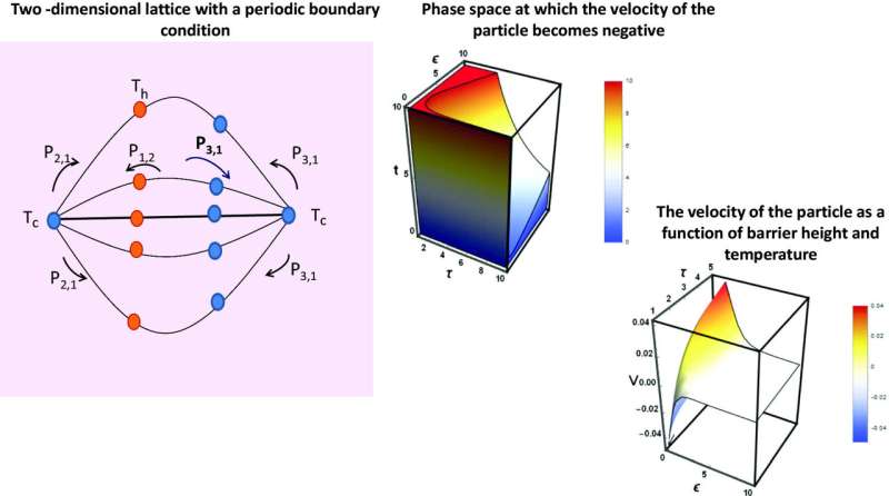 Molecular Motors: Network Efficiency and Heat Engine Performance