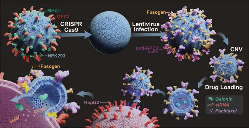 Engineered Vesicles Enhance Targeted Cancer Therapy: Research Highlights