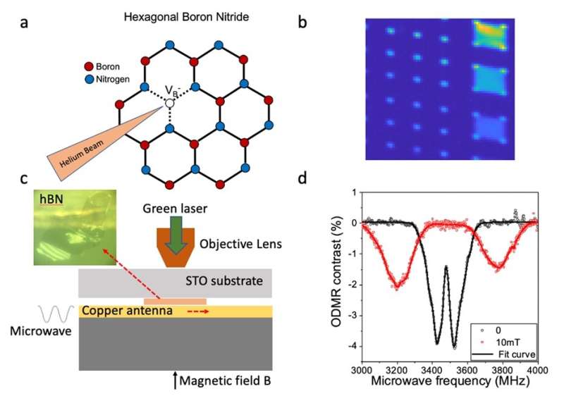 Helium Ion-Induced Defects in Hexagonal Boron Nitride: A Study of Spin Dynamics