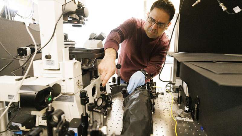Advanced Microscopy Techniques for Nanoscale Imaging | University Research