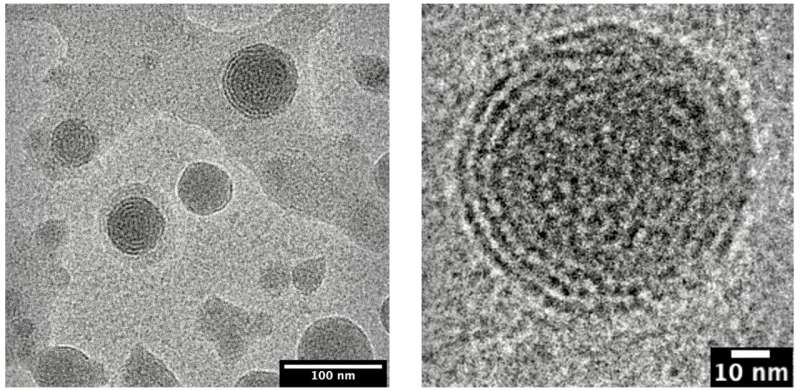 Advanced Lipid Nanoparticles: Revolutionizing Drug Delivery