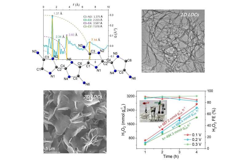 Formamide: A Key Building Block for Advanced N-Doped Carbon Materials