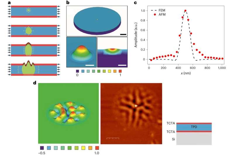 Nanoscale Glass-to-Liquid Transition: Direct Observation & Modeling