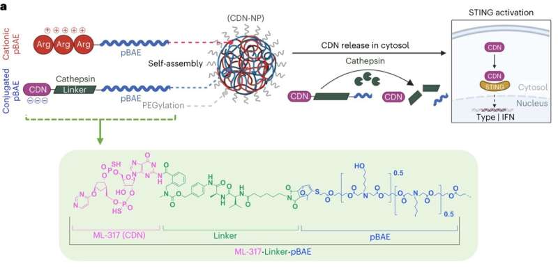 Nanostructured Therapeutics: Engineering Immune Boosts for Cancer Treatment